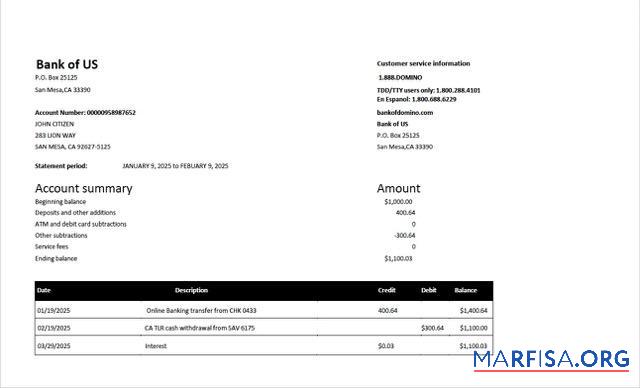 Blank USA Bank of US account statement word download for verification